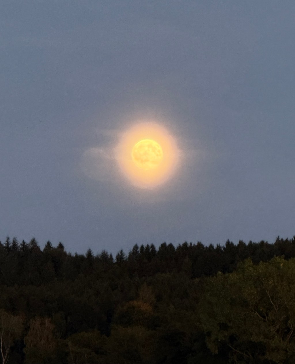 Mitternachtsgedanken